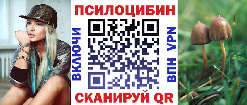 что такое Гремячинск Галлюциногенные грибы Cubensis